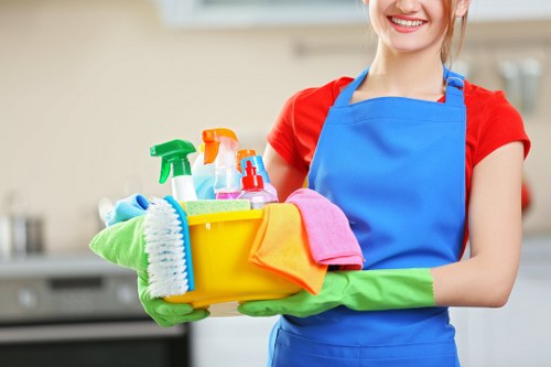 Accessibility request support for Carpetcleaning BR3 information
