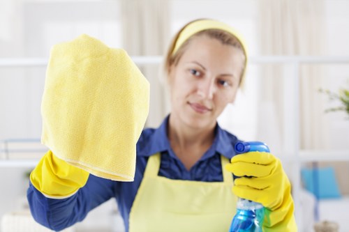 Professional house cleaning in BR3 for a tidy family home