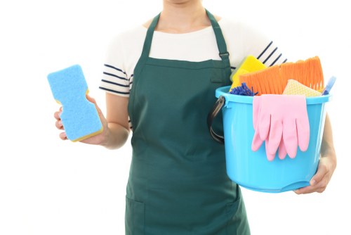 Essential cookies on Carpetcleaning BR3 website