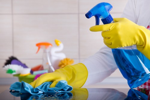 Domestic cleaning service in BR3 for a tidy and comfortable family home