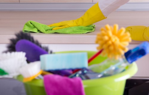 Related rug, sofa and hard floor cleaning services