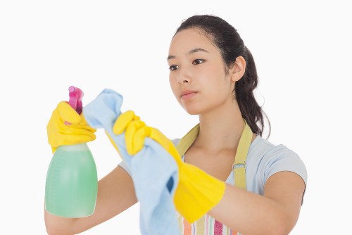 Thorough deep cleaning in a BR3 apartment or house