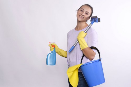 Waste handling and safety checks during a professional cleaning job