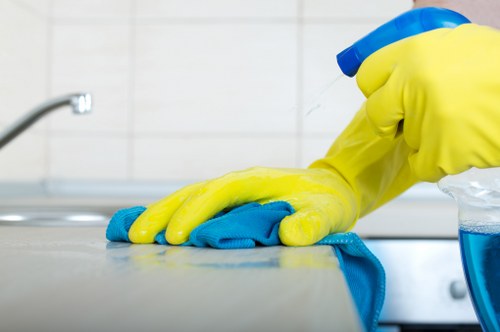 Quality review of carpet cleaning service standards