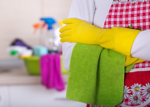Cleaning service checklist and preparation for a BR3 appointment