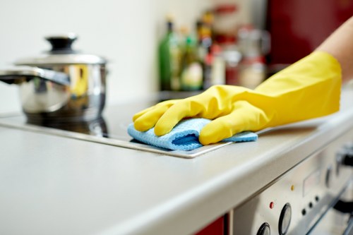 Inspection of carpet cleaning process with risk-aware procedures