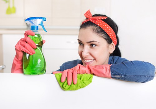 Upholstery cleaning service for homes and businesses in BR3