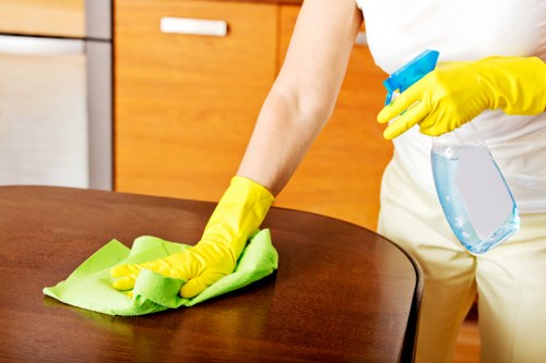 Deep cleaning service for a kitchen in the BR3 area
