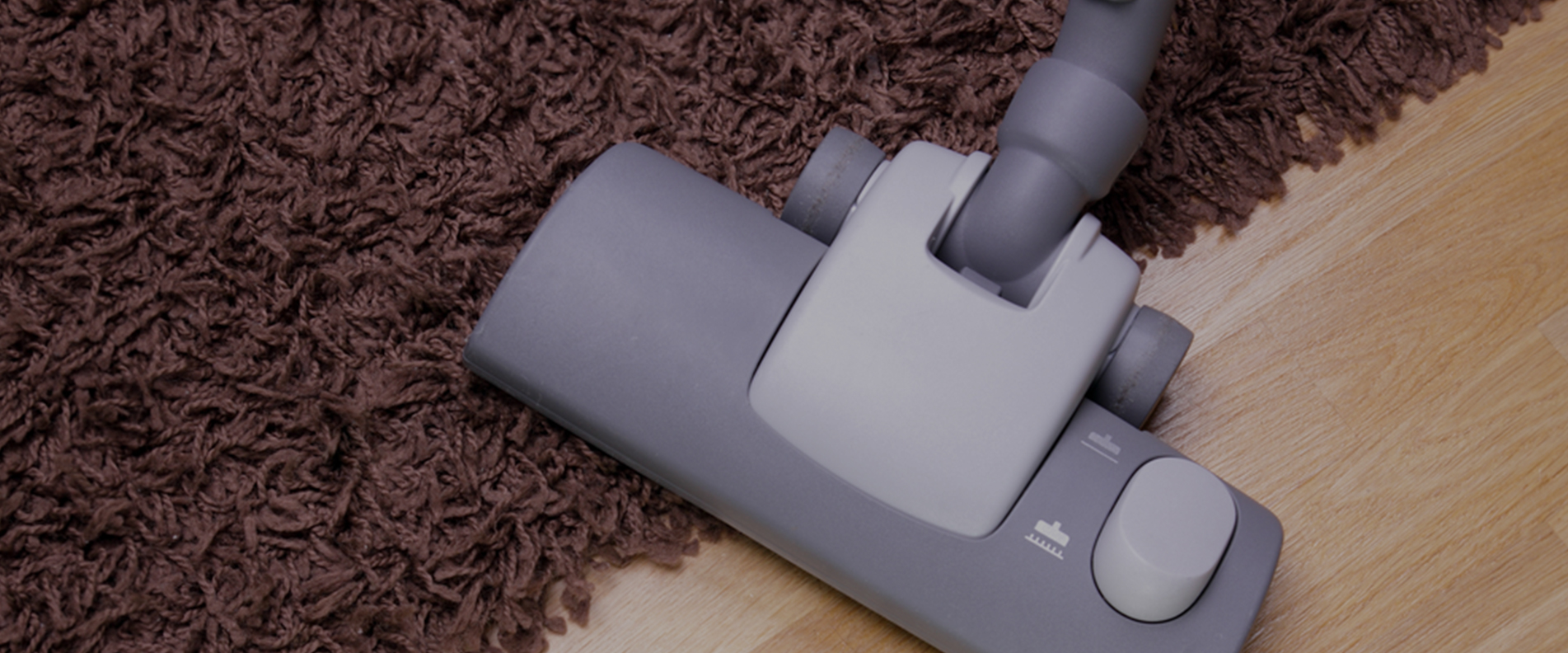 Carpet Cleaning BR3